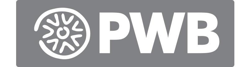 logotipo_Passweb_Esecutivo